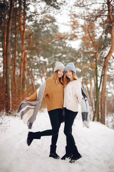 Due ragazze carine in un parco invernale — Foto Stock