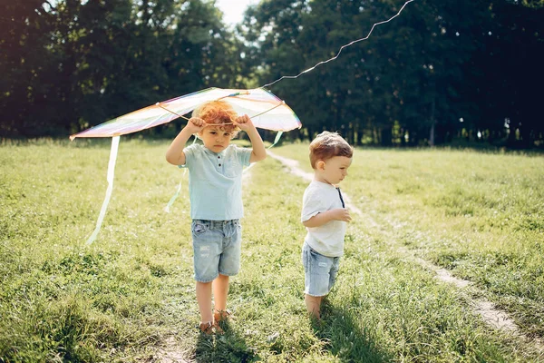 Criança pequena bonito em um campo de verão com um papagaio — Fotografia de Stock