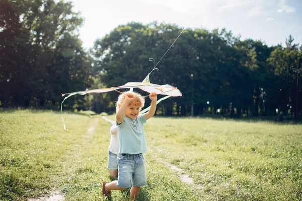 Criança pequena bonito em um campo de verão com um papagaio — Fotografia de Stock