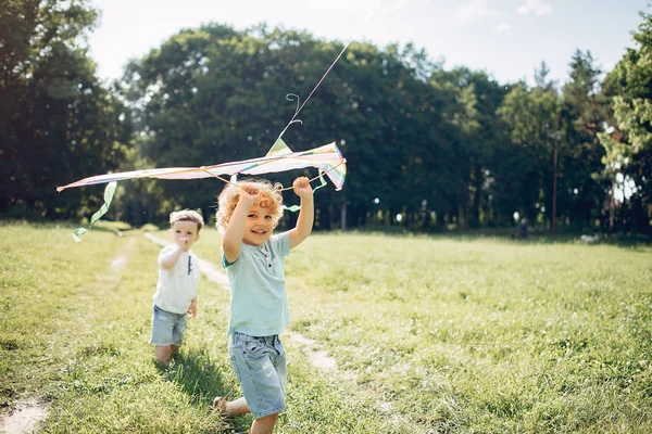 Criança pequena bonito em um campo de verão com um papagaio — Fotografia de Stock