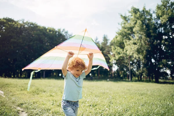 Criança pequena bonito em um campo de verão com um papagaio — Fotografia de Stock