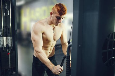 The pumped man is engaged in sports in the gym