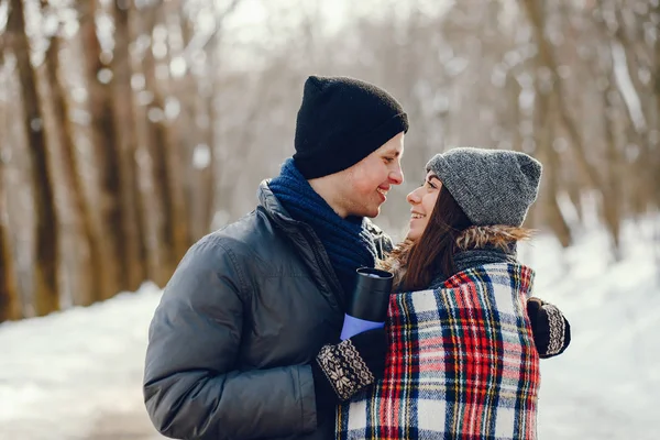 Par i en vinter - Stock-foto