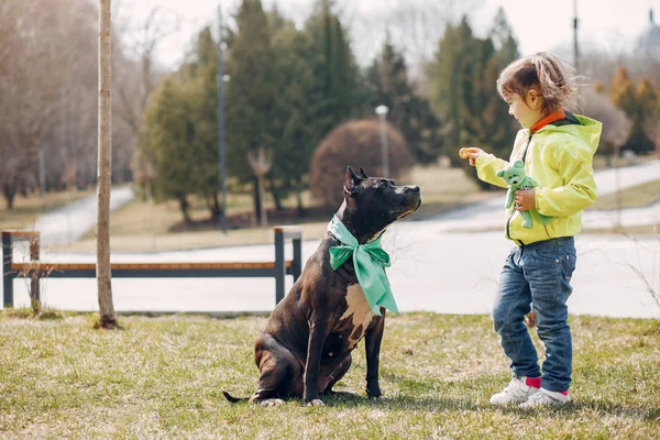 Menina bonito em um parque de primavera com um cão — Fotografia de Stock