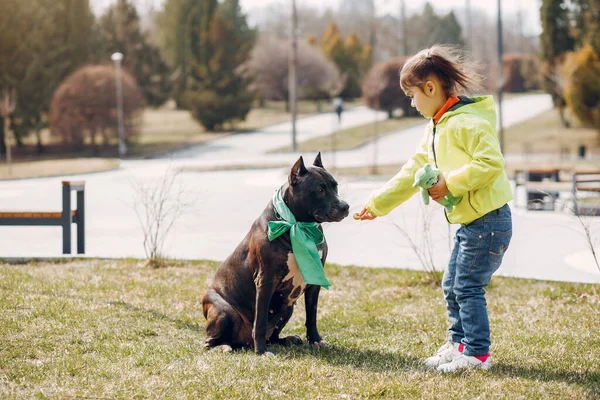 Menina bonito em um parque de primavera com um cão — Fotografia de Stock