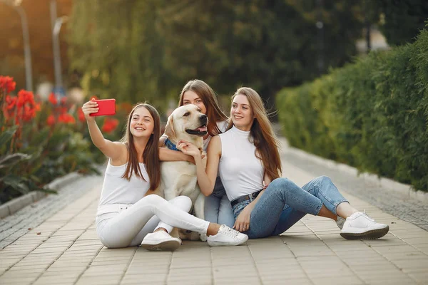 Ragazze sedute in una sity primavera con cane carino — Foto Stock