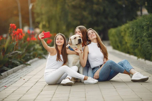 Девушки, сидящие в весенней школе с милой собакой — стоковое фото