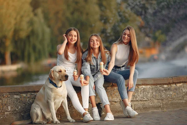 Девушки, сидящие в весенней школе с милой собакой — стоковое фото