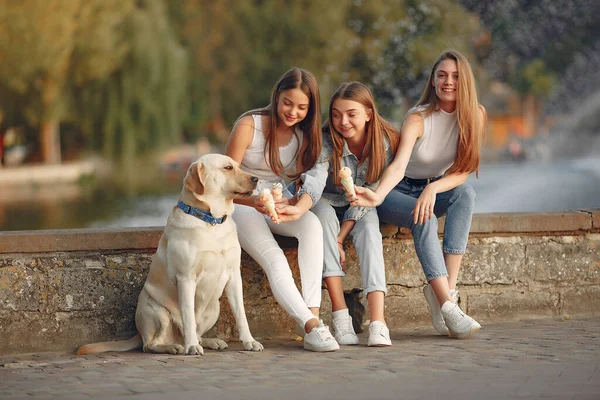 Flickor som sitter i en vårvikt med söt hund — Stockfoto