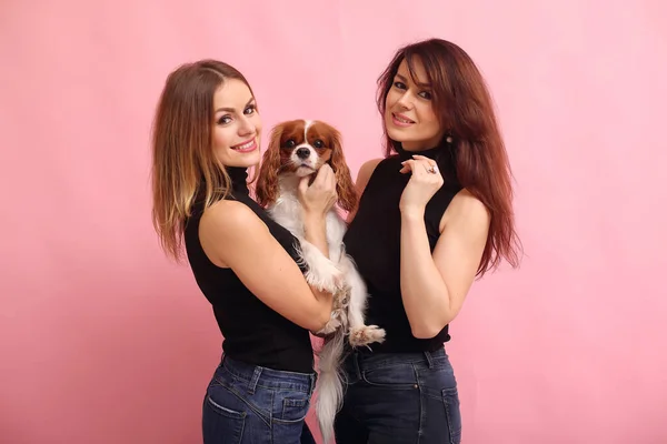 Modne dziewczyny stojące na różowym tle z psem — Zdjęcie stockowe