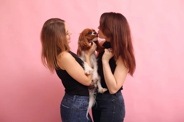 Fashion gadis berdiri di latar belakang merah muda dengan anjing — Stok Foto
