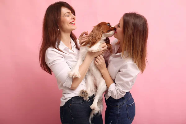 Ragazze di moda in piedi su uno sfondo rosa con cane — Foto Stock