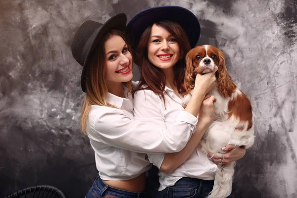Fashion girls standing on a gray background with dog — Stock Photo, Image
