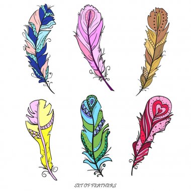 Feathers. Design Zentangle. clipart