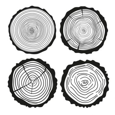 Ağaç halkaları. Kesit kümesi