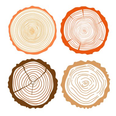 Ağaç halkaları. Kesit kümesi