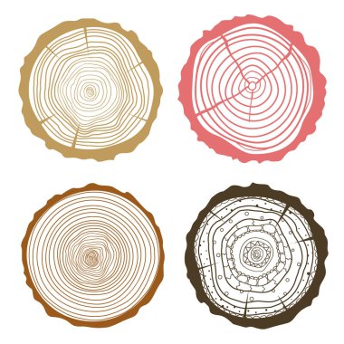Ağaç halkaları. Kesit kümesi