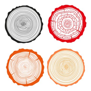 Ağaç halkaları. Kesit kümesi