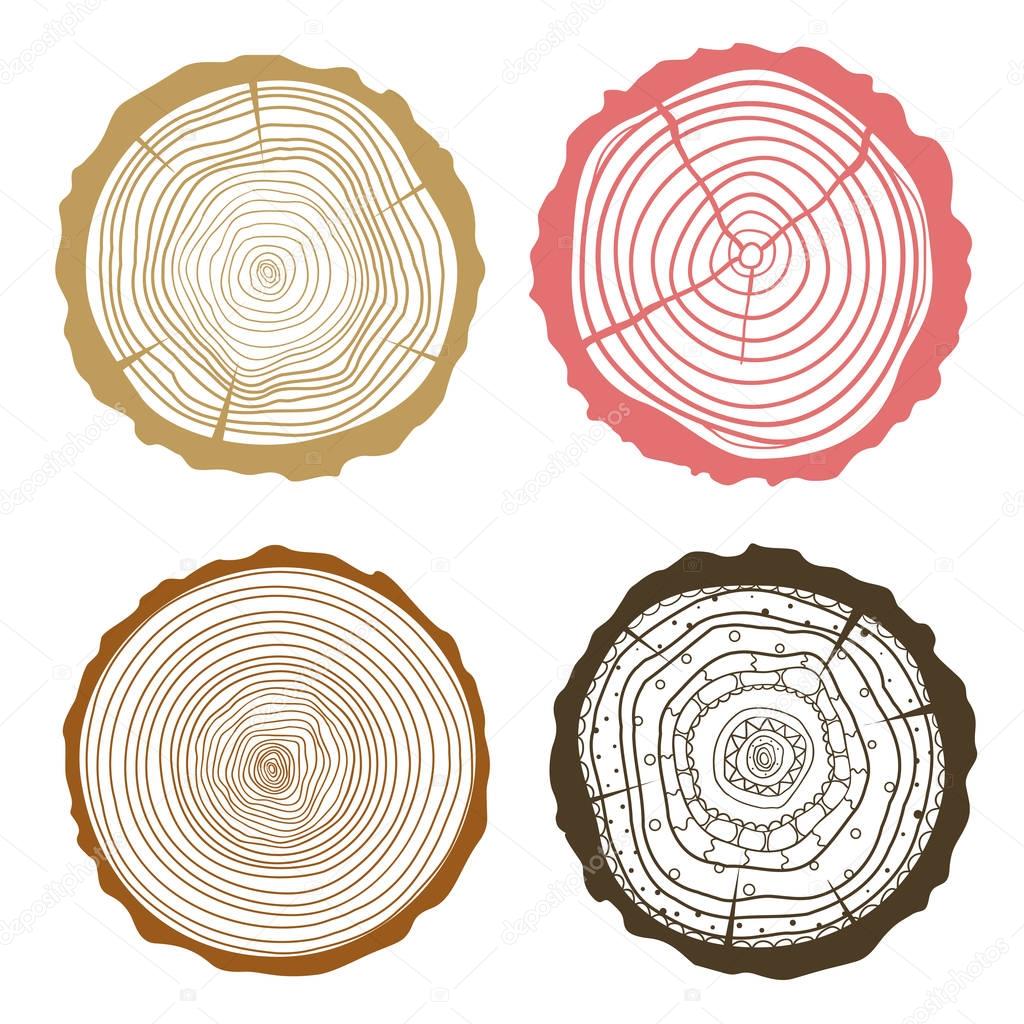 Tree rings. Set of cross section