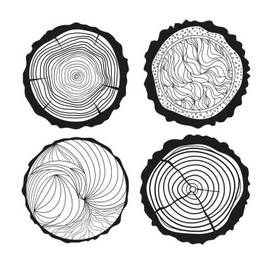 Sanat yaratıcı. İllüstrasyon