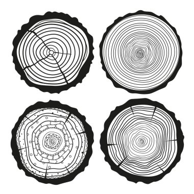 Resimde. Sanat yaratma