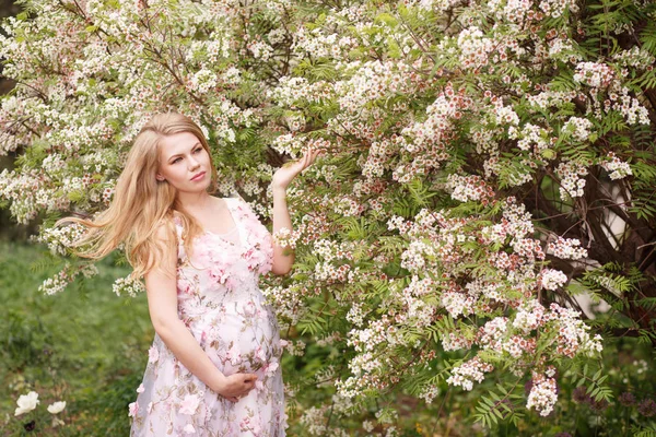 Hermosa mujer embarazada en un vestido suavemente rosa toca su vientre y la otra mano toca el árbol floreciente . Fotos De Stock Sin Royalties Gratis