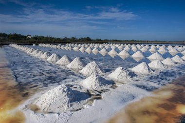 Sea salt field in Thailand clipart