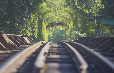 Demiryolu üzerinde arka plan doğal ağaç tüneli ile çelik köprü