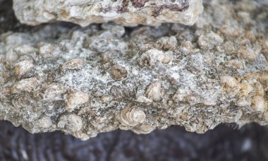 Seashell mezarlık, fosil Shell mezarlığı Tayland