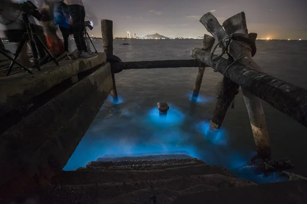 Bioluminescenza marina del plancton — Foto Stock