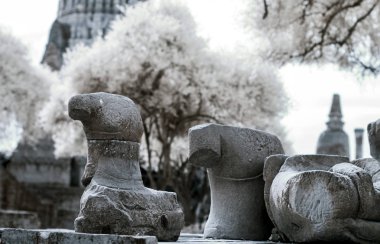 Ayudhaya Tarih Parkı, Tayland, shooti dünya mirası