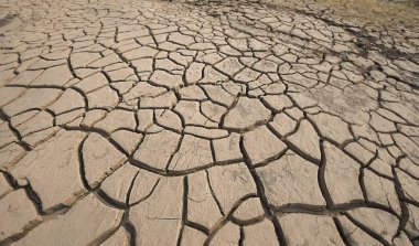 Dünya, Kuru zemin yüzey çatlamak