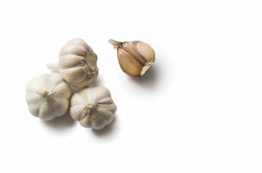 Beyaz sarımsak hakkında çekim kavramı