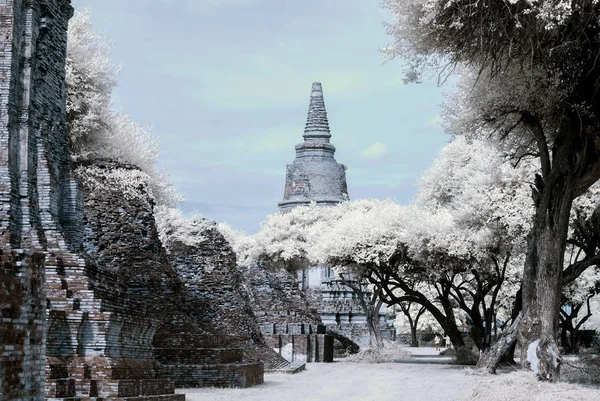 Ayudhaya der historische Park, Welterbe von Thailand, Shooti — Stockfoto