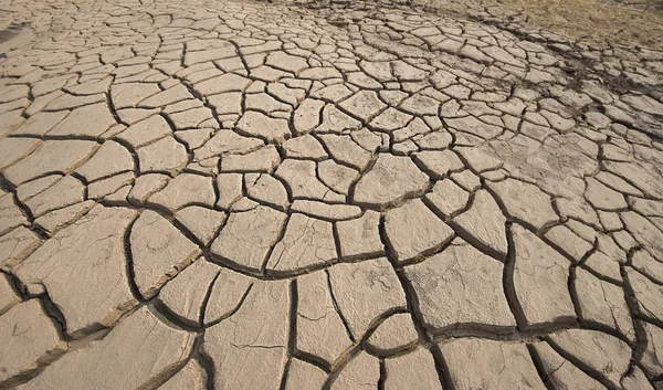 Dünya, Kuru zemin yüzey çatlamak