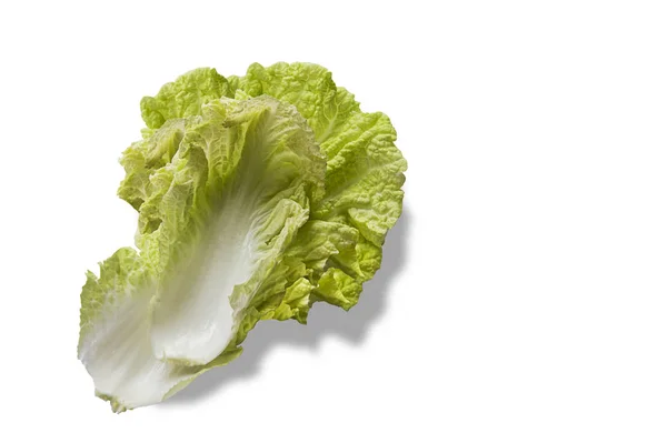 Concept shooting about Chinese cabbage — Stock Photo, Image