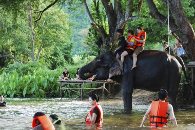 Kanchanaburi, Tayland - 3 Oct2009: Günlük fil hayat koruma Merkezi, fil ve oynama ve fil nehre duş turizm.