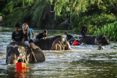 Kanchanaburi, Tayland - 3 Oct2009: Günlük fil hayat koruma Merkezi, fil ve oynama ve fil nehre duş turizm.