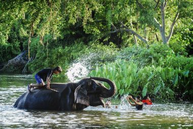 Kanchanaburi, Tayland - 3 Oct2009: Günlük fil hayat koruma Merkezi, fil ve oynama ve fil nehre duş turizm.