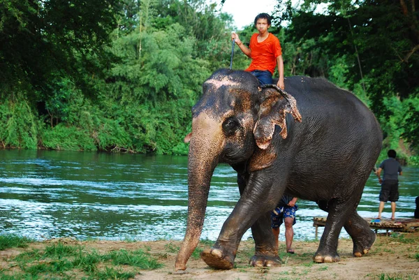 Kanchanaburi Thajsko Oct2009 Každodenní Život Slona Centru Zachování Mahout Hraní — Stock fotografie