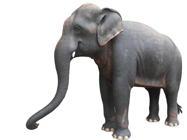 Scultura Elefante Piedi Realizzata Cemento Isolato Sfondo Bianco — Foto Stock