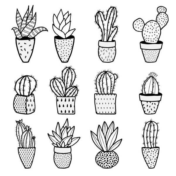 Набор различных видов кактусов — стоковый вектор