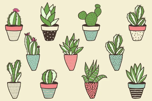Zbiór różnych rodzajów kaktusów — Wektor stockowy