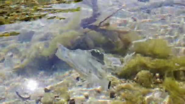 Un morceau d'emballage en plastique flotte dans de l'eau cristalline .
