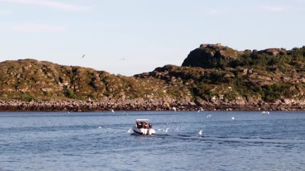 En liten fiskebåt seglar längs norska fjorden — Stockvideo