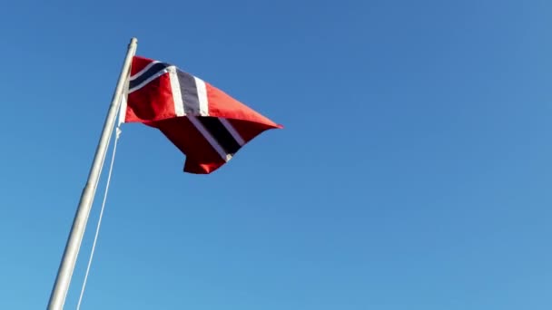 Brillante bandera noruega ondeando al viento — Vídeo de stock