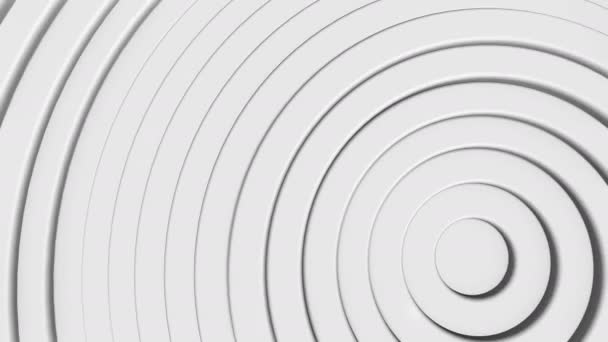 Cercles motif avec effet stores. Animation anneaux blancs propres . — Video