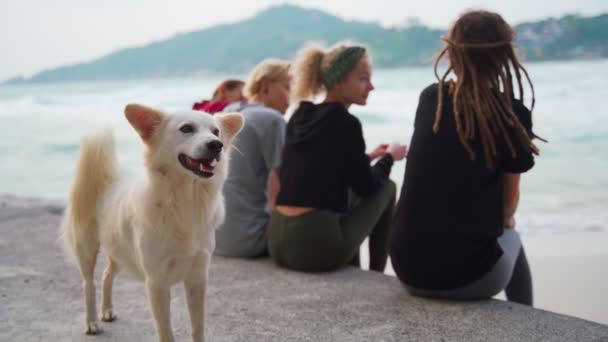 Grupo de cuatro jóvenes sentadas y conversando en la playa con vista al mar . — Vídeos de Stock