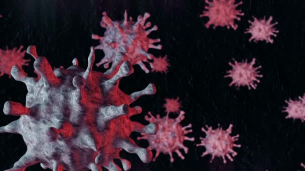 Chaotisch vliegende bacteriën en virussen op donkere achtergrond — Stockvideo