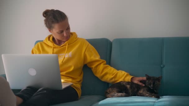 Mujer joven trabajando en el hogar y abrazando a un gato . — Vídeo de stock